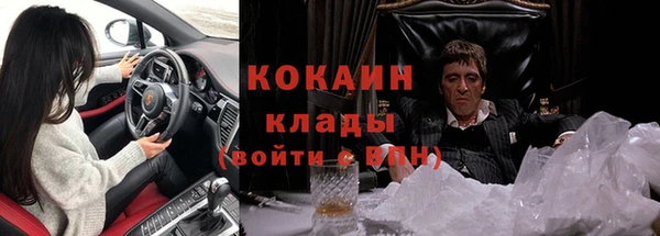 тгк Алзамай