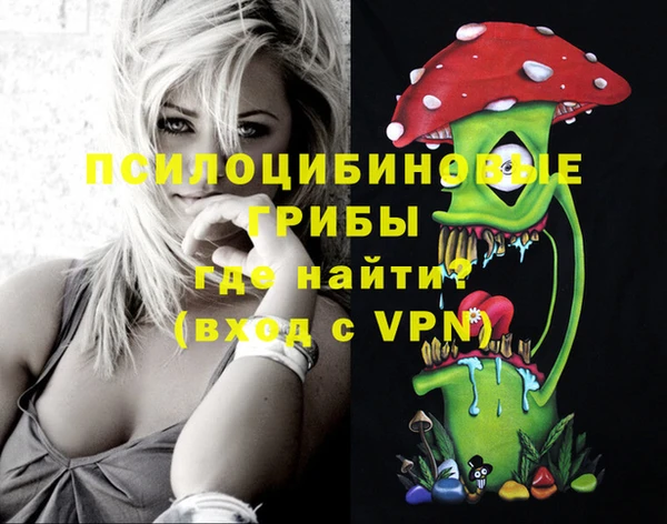 тгк Алзамай