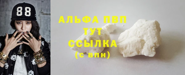 стаф Алексин
