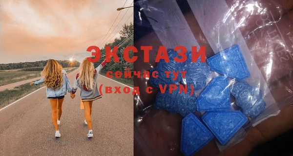 стаф Алексин