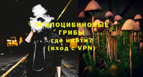 тгк Алзамай